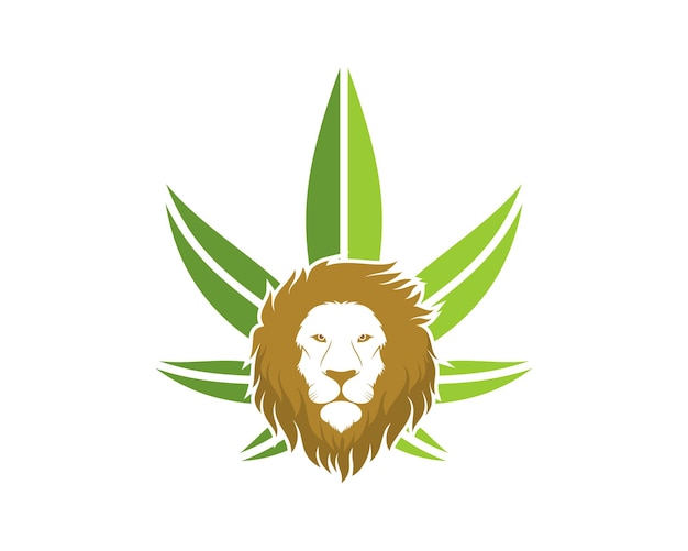 Vector lion head with cannabis leaf behind