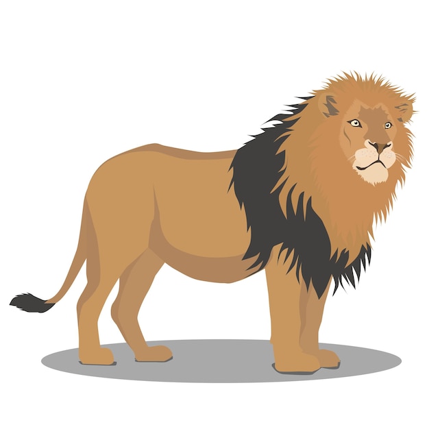 Lion king. Vector isolated animal.