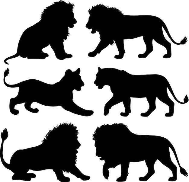 Vector lion silhouette vector illustration of a cute lion set silhouette