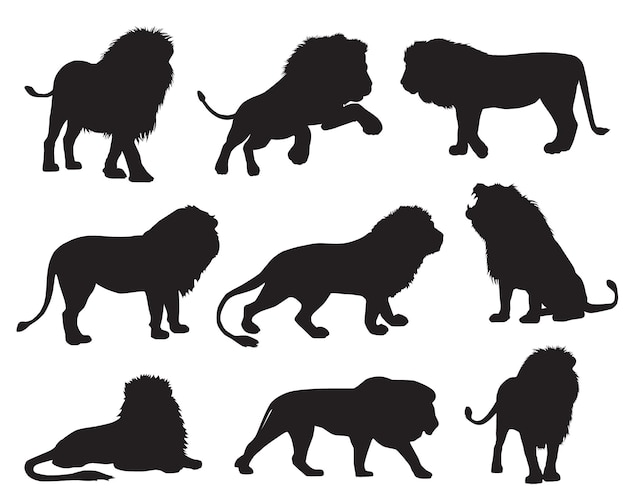 Lion silhouettes