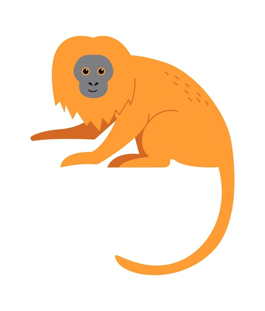 Lion tamarin monkey Exotic Animal Vector illustration