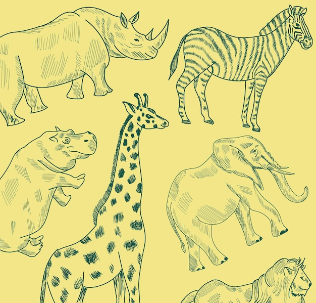 Lion,Zebra,Rhino,Giraffe,Hippo,Elephant sketch drawing vector illustration