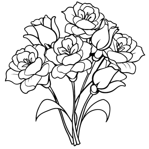 Lisianthus flower outline illustration coloring book page design