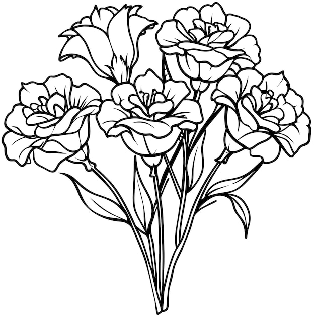 Lisianthus flower outline illustration coloring book page design