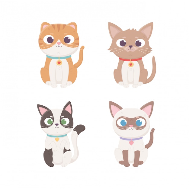 Little cats character sitting different breed with , pets