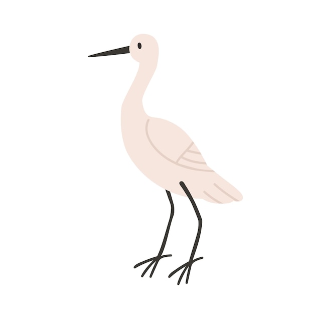 Little egret profile. Aquatic African bird with white plumage, long beak. Wild feathered animal standing. Savannah fauna. Isolated flat vector illustration