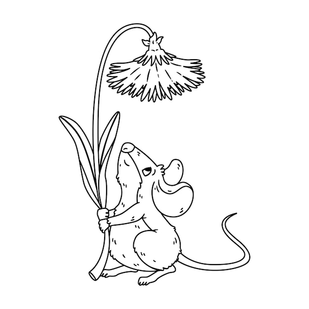 Little forest mouse holding dandelion Meadow vole with flower Rat keep blossom