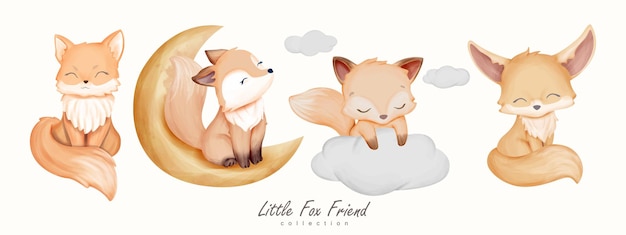 Little Fox Friend Animal Collection