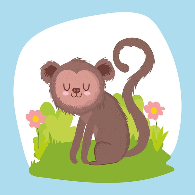 Little monkey in the grass