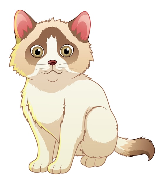 Little Ragdoll Cat Cartoon Animal Illustration