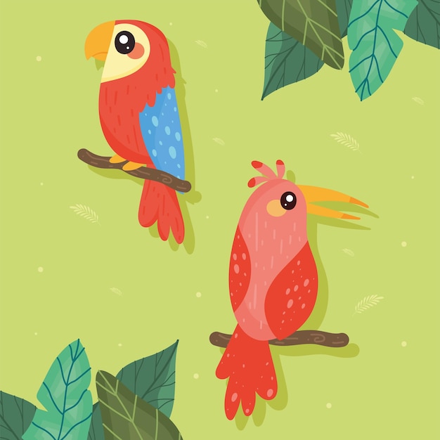 Little red birds