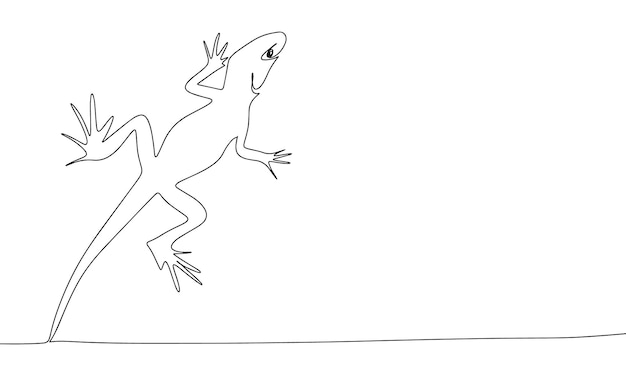 Lizard one line continuous Line art Lizard isolated on transparent background Hand drawn vector