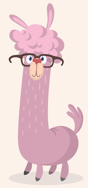 Llama cartoon alpaca Lama animal wearing eyeglasses vector isolated illustration