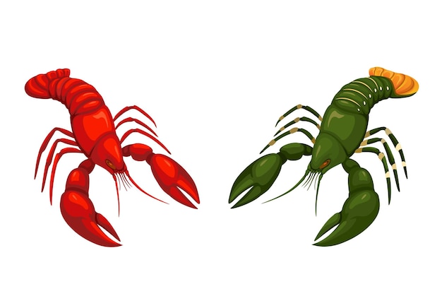 Lobster animal collection set illustration vector