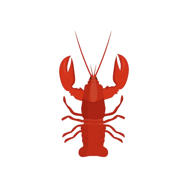 Lobster cancer illustration in vector