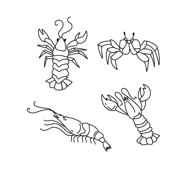 lobster doodle art handrawn illustrations vector