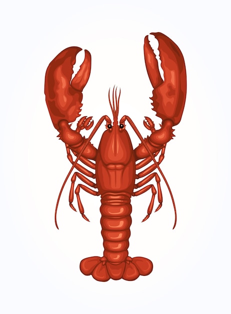 Lobster Shrimp Seafood Vector Illustration