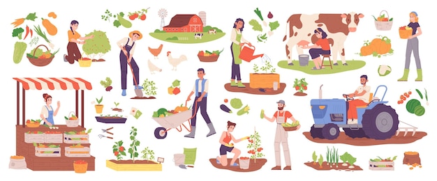 Local organic production Agriculture worker produce food product in garden localization market farming harvest farmer selling vegetable and fruit garish vector illustration