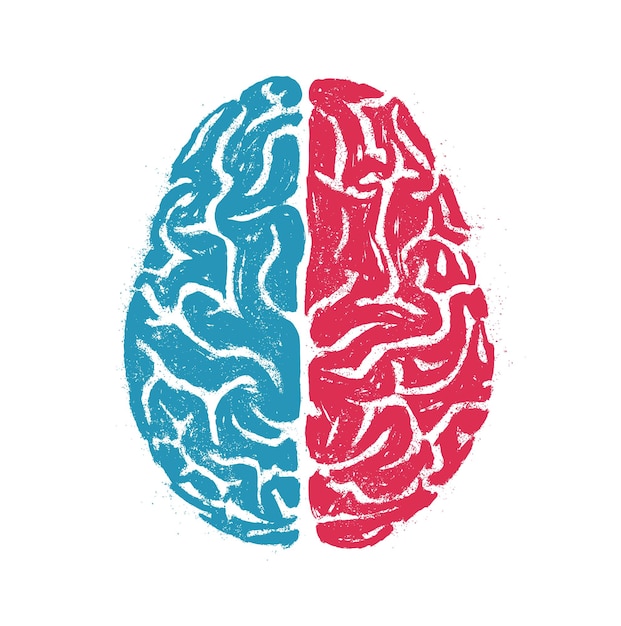 Logical and creative human brain Isolated hand drawn vector illustration on white background