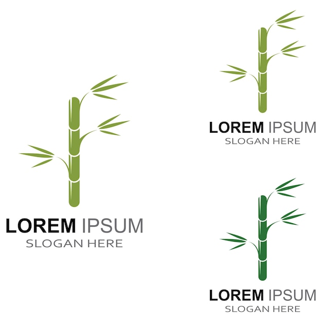 Logo of a bamboo plant or a type of hollow plant Using a modern illustration business vector concept design