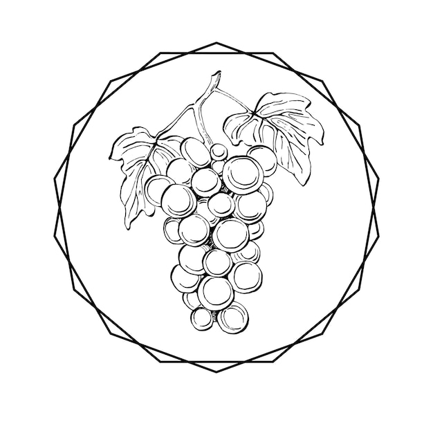 Logo grape emblem