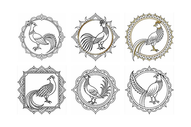 Vector logo set of golden pheasant labeled line art design illustration