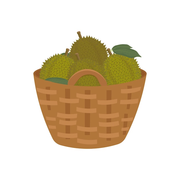 Logo Vector illustration of durian fruit in a bamboo basket