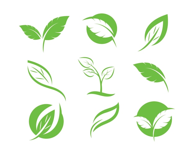 Logos of green leaf ecology nature element vector