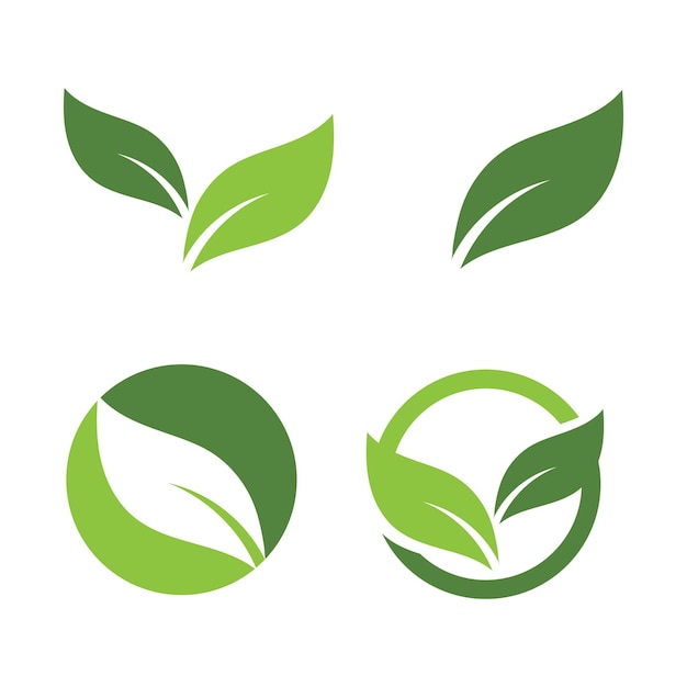 Logos of green Tree leaf ecology nature element vector