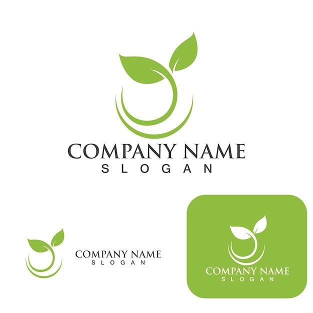 Logos of green Tree leaf ecology nature element vector