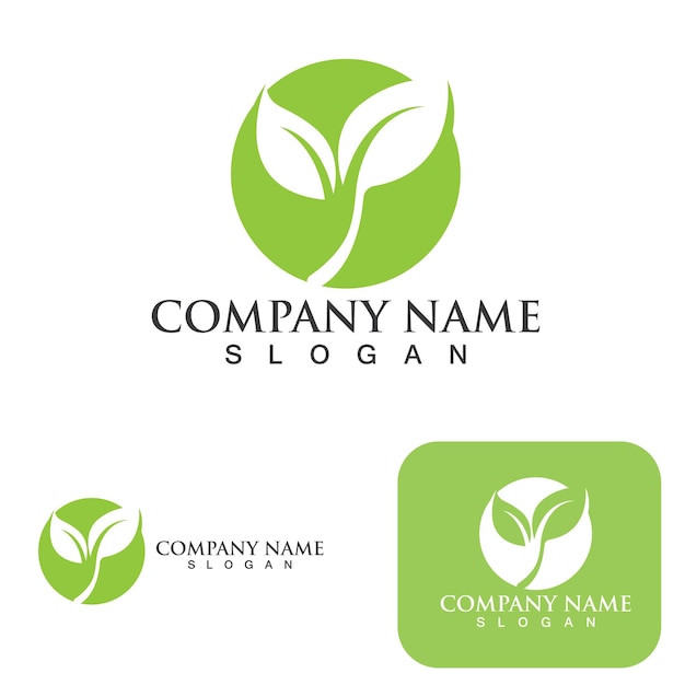 Logos of green Tree leaf ecology nature element vector