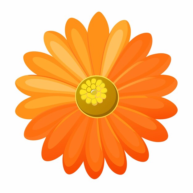 Vector lone orange daisy against white background