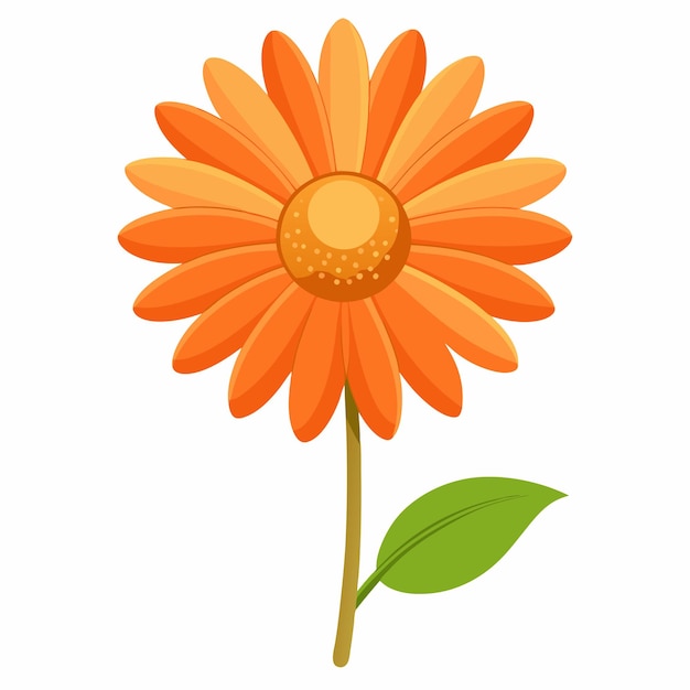 Vector lone orange daisy against white background