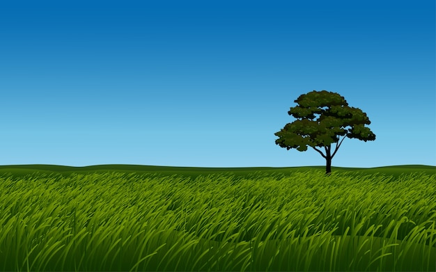 Lonely tree in meadow with clear sky