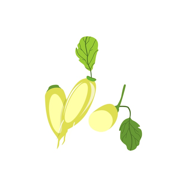 Long tubers of Japanese daikon radish with leaves Large Asian root vegetable with leaves Icon of fresh raw food on a white background