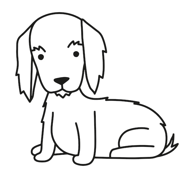 Longhaired dachshund dog vector illustration