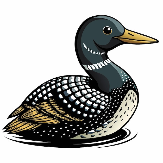 Loon bird vector illustration