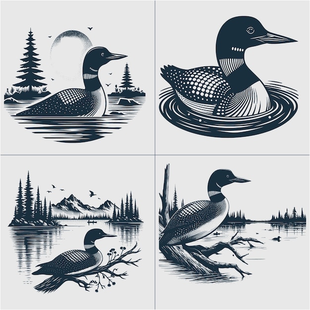 Loon Bird Vector Loon silhouette Duck Lake scene vector file