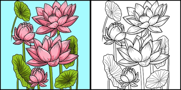 Lotus Flower Coloring Page Colored Illustration