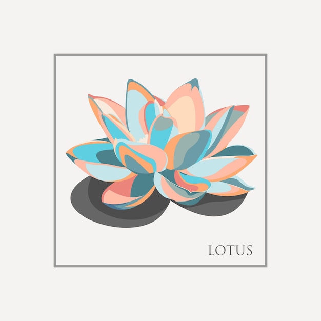 lotus flower ilustration vector