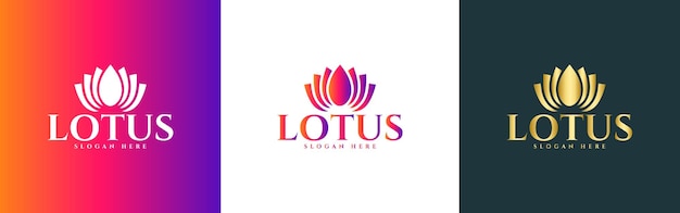 Lotus flower logo set Lotus flowers design