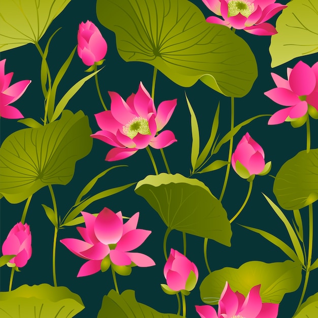 Lotus flowers and leaves