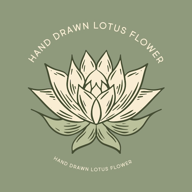 Lotus hand drawn illustrations vector