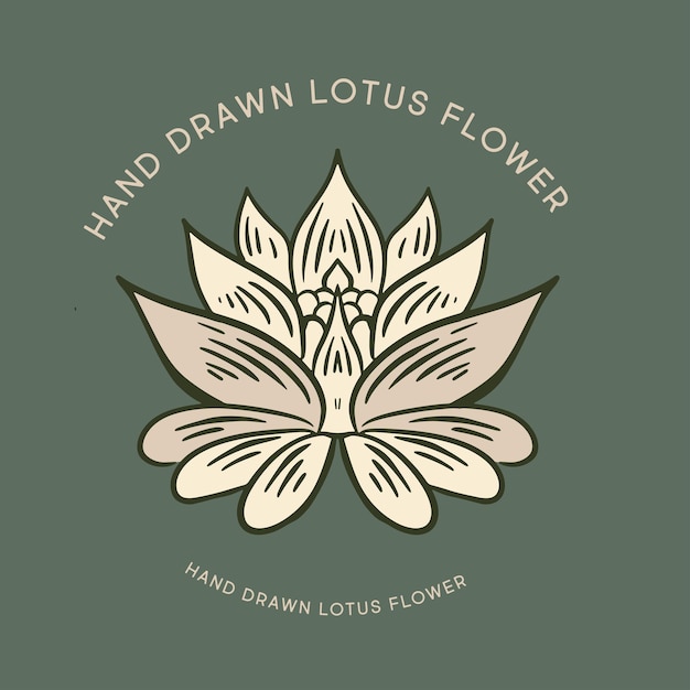 Lotus hand drawn illustrations vector