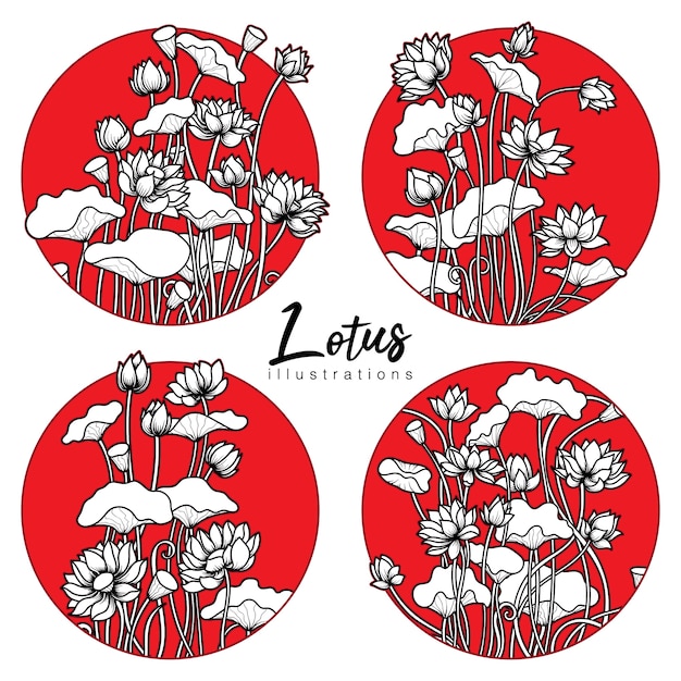 Lotus Illustrations on a Japanese Style