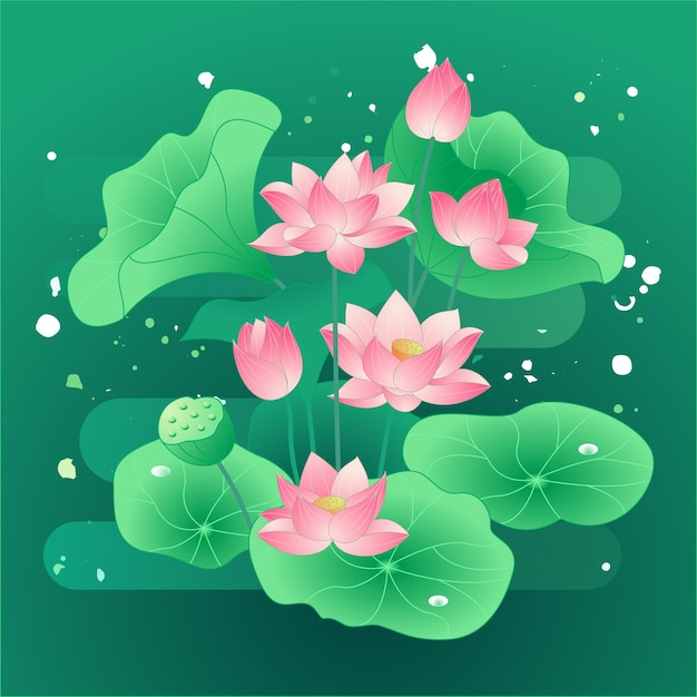 Lotus in the pond