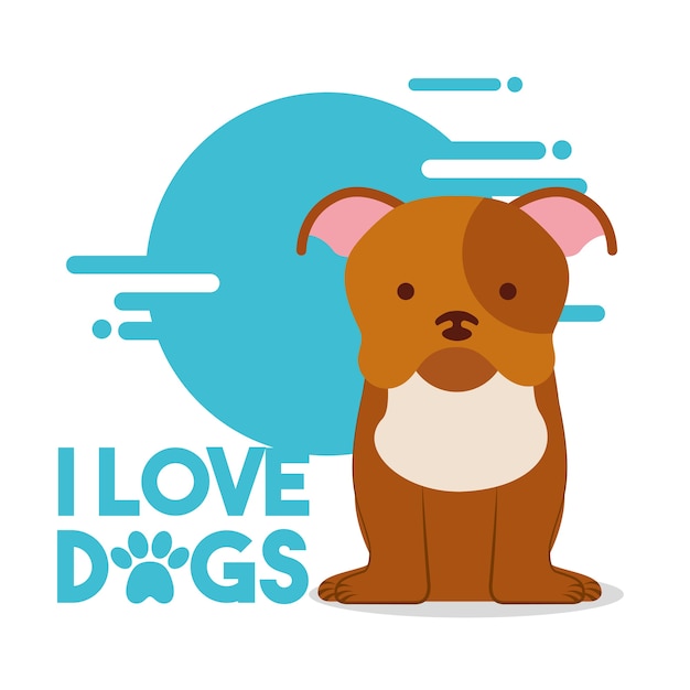 love dog sitting pet domestic animal