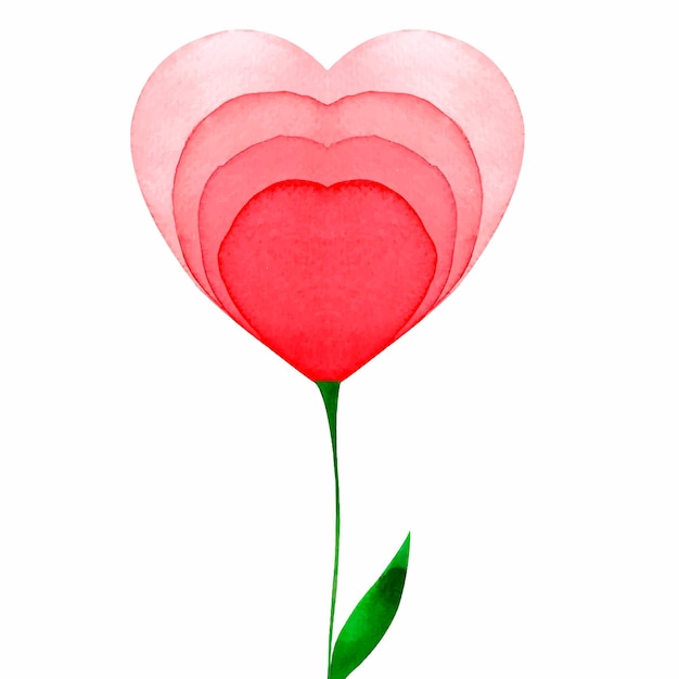 Love flower heart painted watercolor red isolated