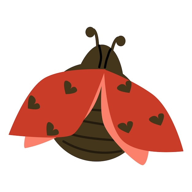 Love ladybug with hearts cartoon vector illustration beauty insect animal with red wing