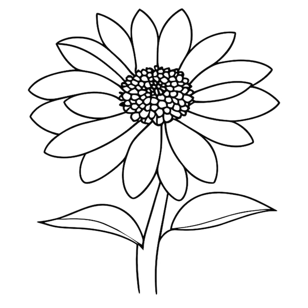 lovely african daisy coloring page opens a new tab lovely african daisy coloring page less vector